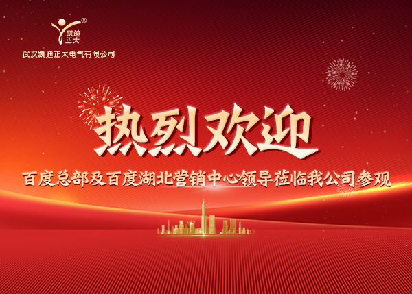 百度總部及湖北營(yíng)銷(xiāo)中心領(lǐng)導(dǎo)蒞臨我司，共繪合作新藍(lán)圖